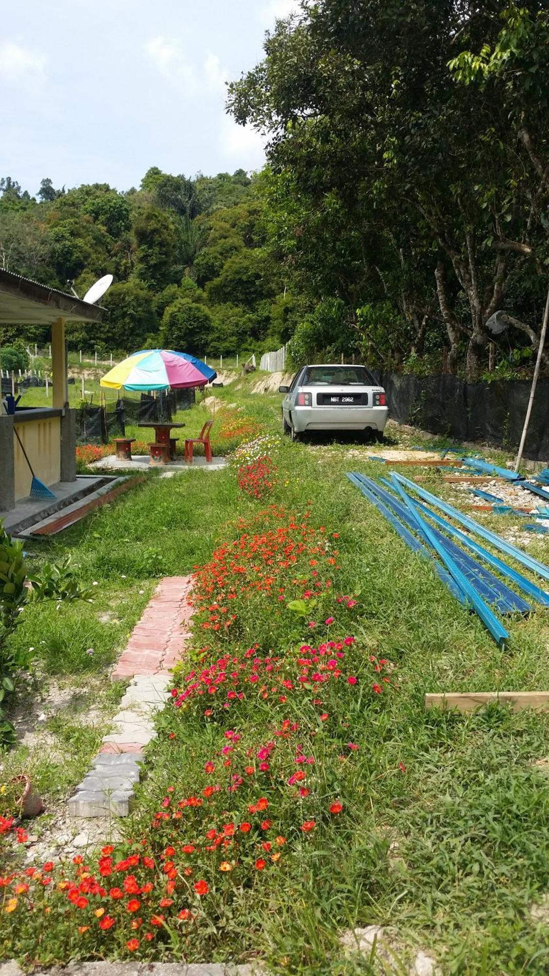 Kuntum Cottage Bed & Breakfast Kampung Tanjung Ipoh Luaran gambar